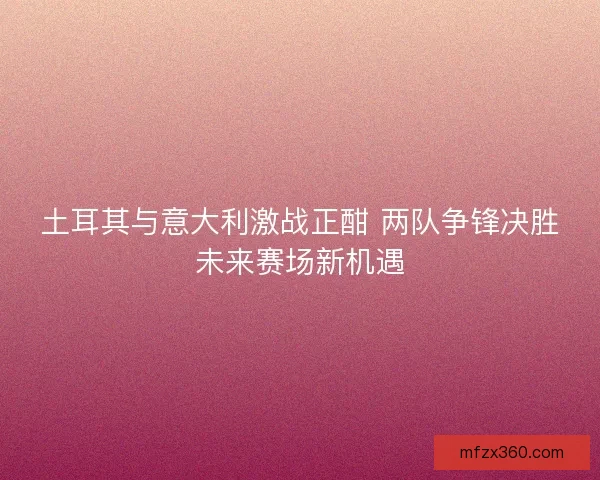 土耳其与意大利激战正酣 两队争锋决胜未来赛场新机遇 土耳其与意大利激战正酣 两队争锋决胜未来赛场新机遇