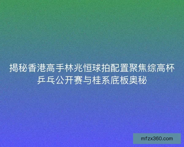 揭秘香港高手林兆恒球拍配置聚焦综高杯乒乓公开赛与桂系底板奥秘